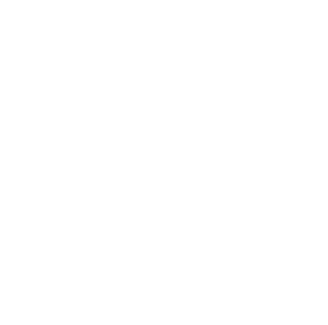 Helix 70-4471 koppelingsplaat met organische voering Evo 4-10